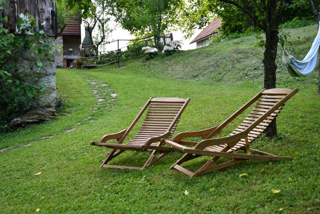 Zahrada ubytování Mala kuća