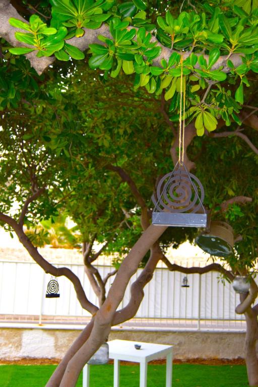 Jardí fora de 12 Passi dal Mare