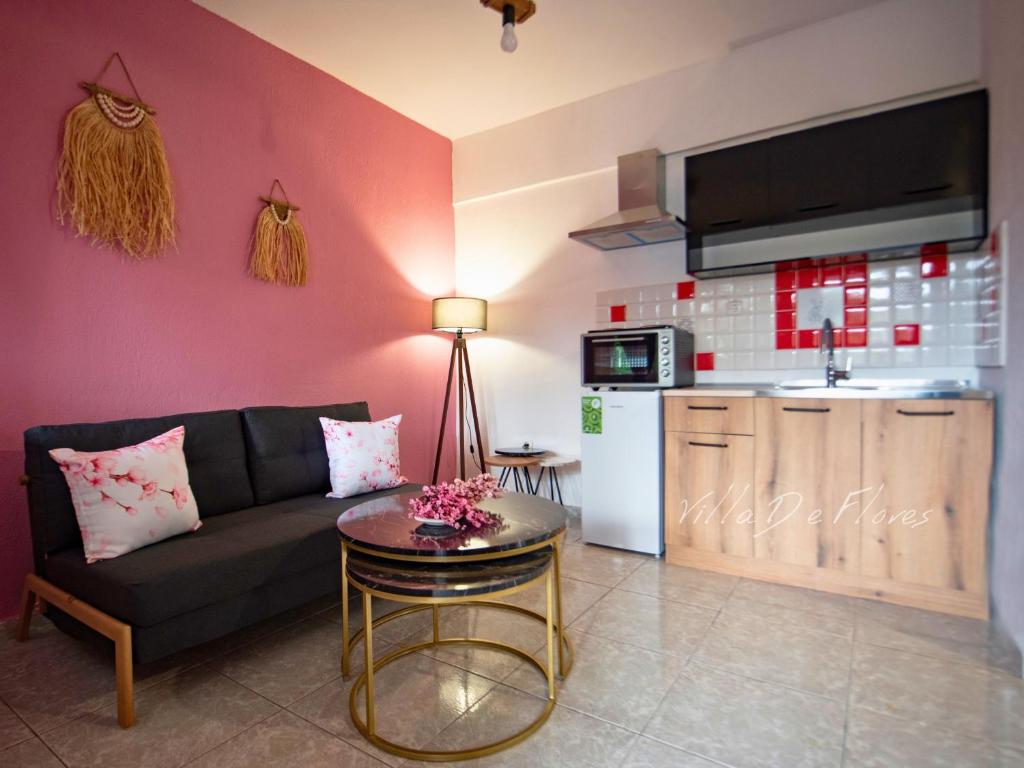Kuchyň nebo kuchyňský kout v ubytování Villa De Flores