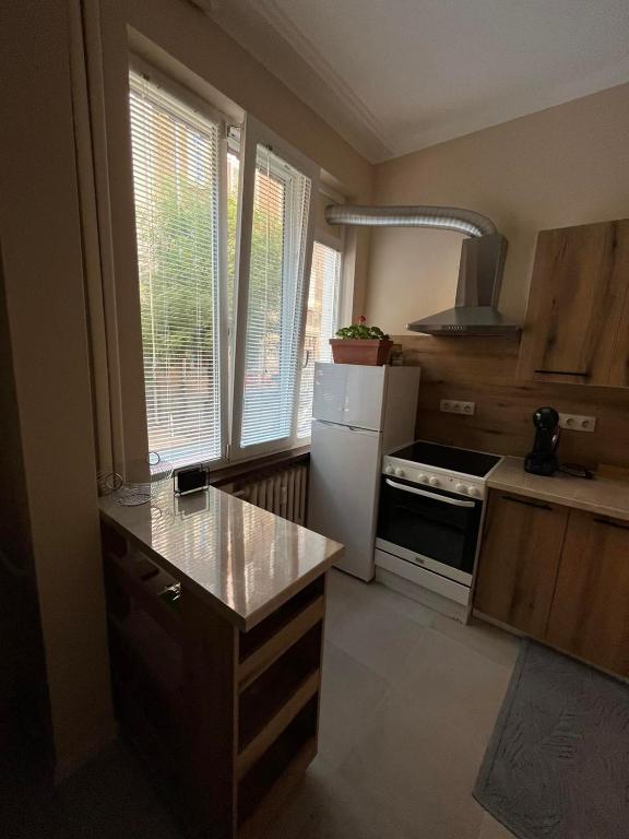 Kuchyň nebo kuchyňský kout v ubytování EL apartment
