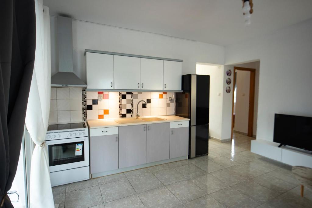 Kuchyň nebo kuchyňský kout v ubytování Villa De Flores