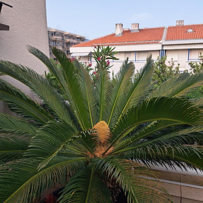 Fotografie z fotogalerie ubytování Apartman FOX ve Splitu
