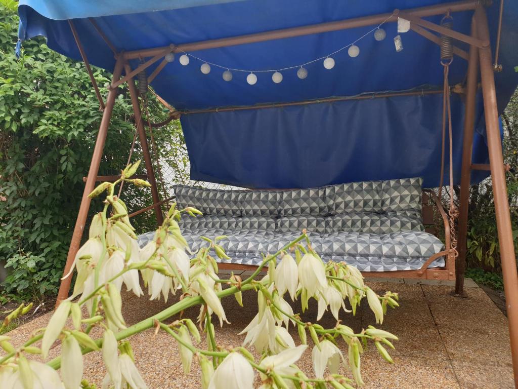 A garden outside Simay Apartman