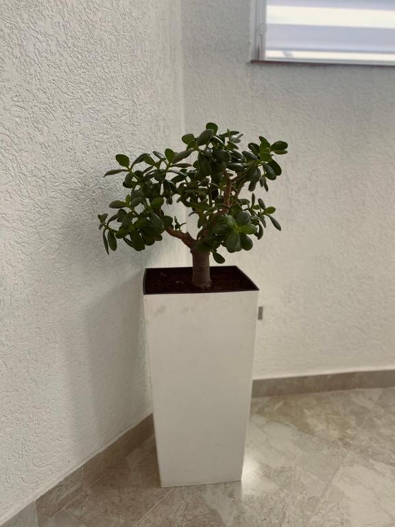 Fotografie z fotogalerie ubytování GreenHill Apartments v destinaci Kumanovo