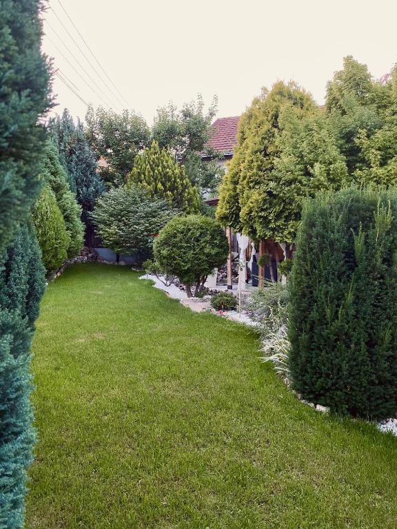 Zahrada ubytování GreenHill Apartments
