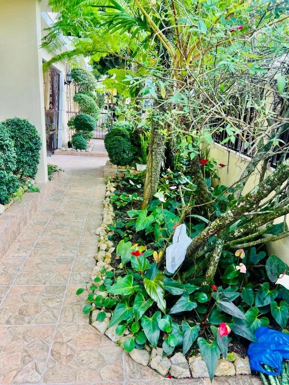 Zahrada ubytování Encantadora Terraza de Brisas Frescas