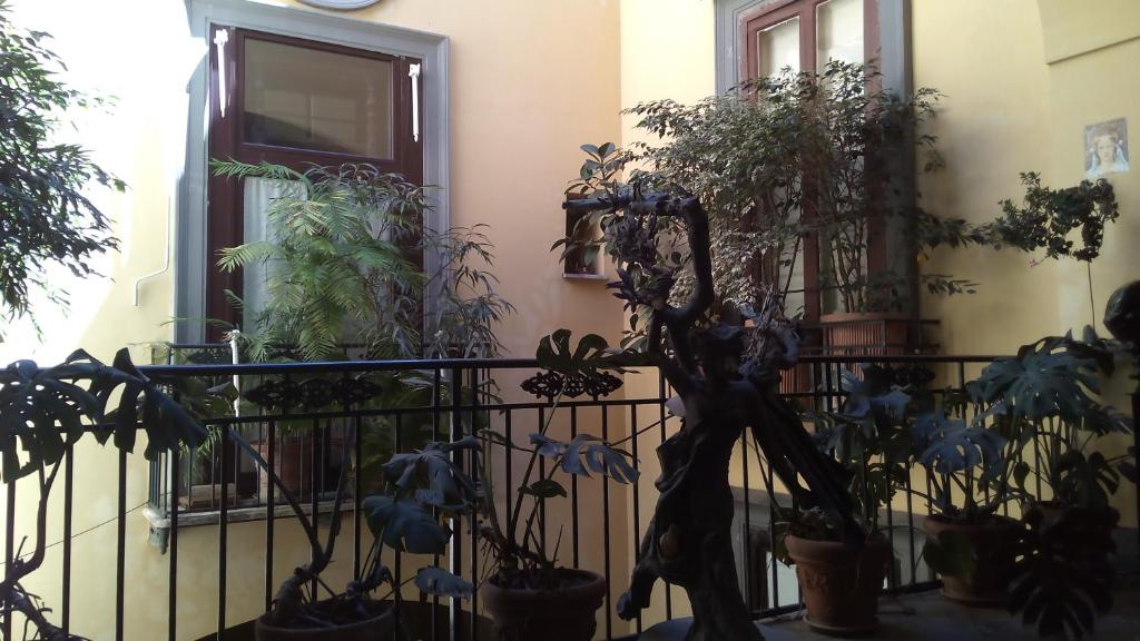 Zahrada ubytování 1878 Sorrento Guest House