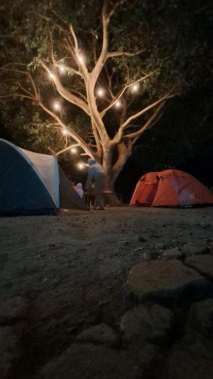 Fotografie z fotogalerie ubytování Rinjani 3 Dara v destinaci Sembalun Lawang