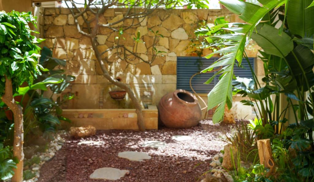 a garden with a large vase in the middle of a room with plants at Thalassa Boutique Hotel & Spa in Coral Bay