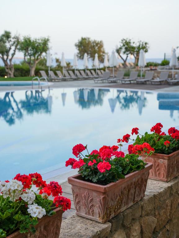 two containers of red flowers next to a swimming pool at Thalassa Boutique Hotel & Spa in Coral Bay