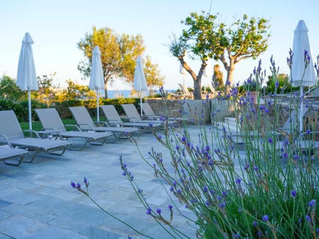a row of white lounge chairs and umbrellas at Thalassa Boutique Hotel & Spa in Coral Bay