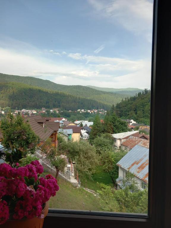 Příroda nedaleko penzionu