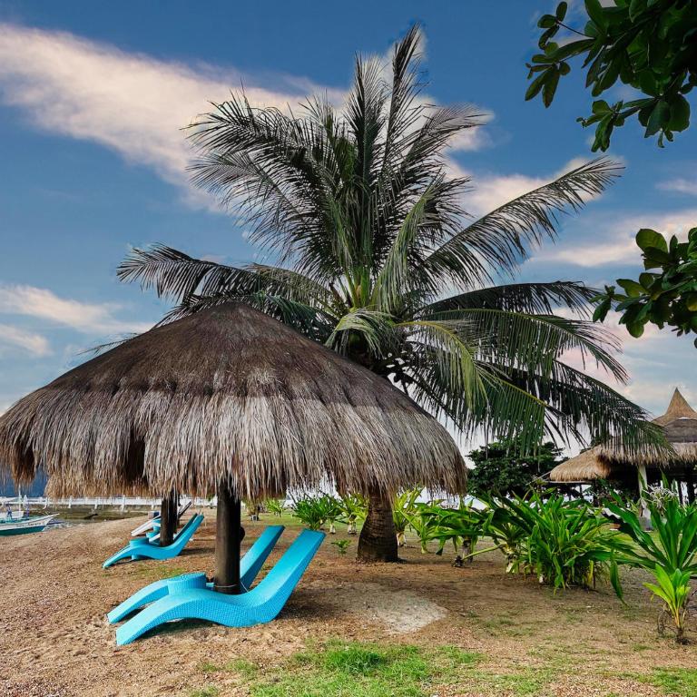 Zahrada ubytování Baia Serena Resort