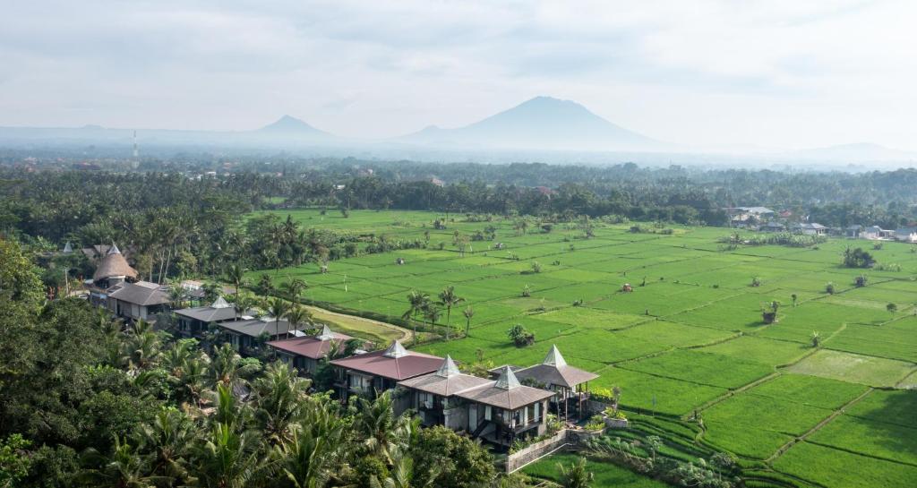 Et luftfoto af Gdas Bali Health and Wellness Resort