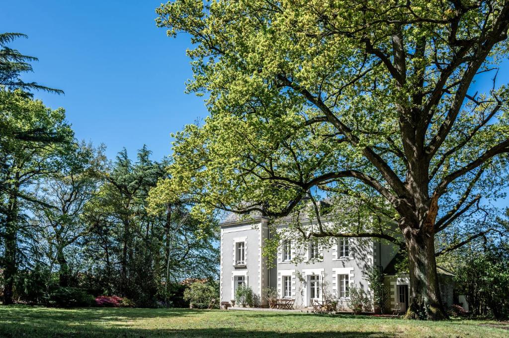 une maison blanche avec un arbre au premier plan dans l'établissement Manoir de la Plume, à Saint-Sébastien-sur-Loire