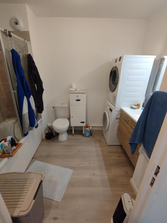 y baño con lavamanos y lavadora. en Appt cosy 2 pièces proche gare, en Templemars