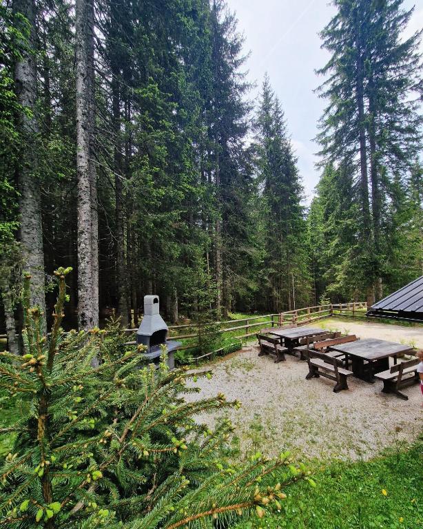 Příroda nedaleko apartmánu