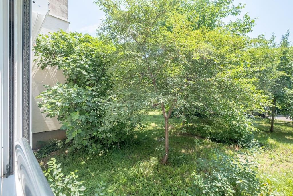 Zahrada ubytování Top Location, Brand New 3 BDRM Apt & Free parking