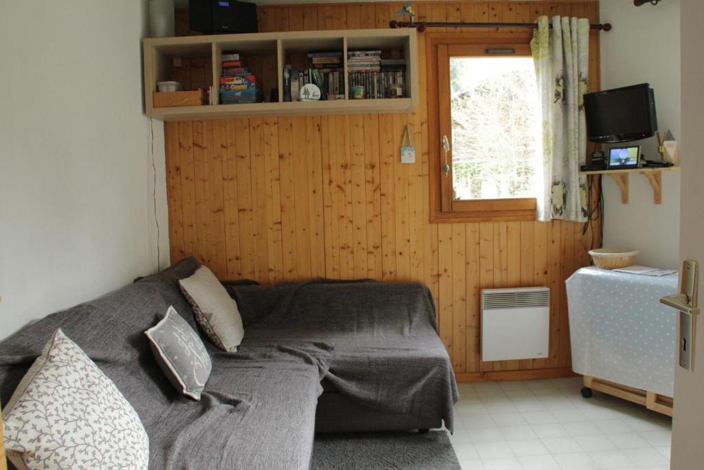 un salon avec un canapé et une fenêtre dans l'établissement Christina CR19 FAMILY & MOUNTAIN 3 Pers, à Châtel