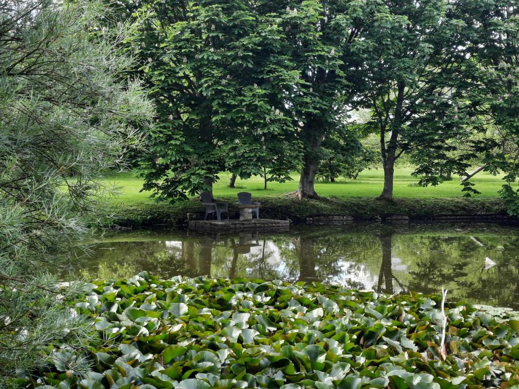 Příroda nedaleko bed and breakfast