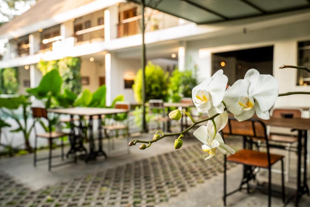 バニュワンギにあるホテル ブランバンガンの白花の植物