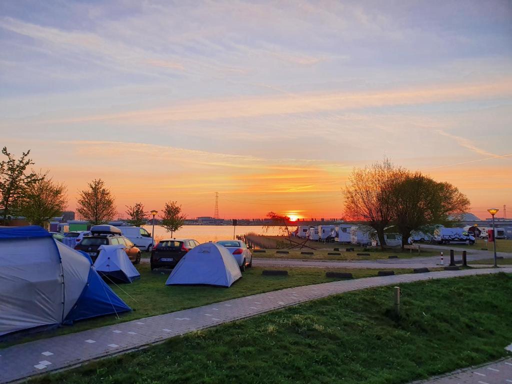 a group of tents in a field with the sunset in the background at Camping Zeeburg Amsterdam in Amsterdam