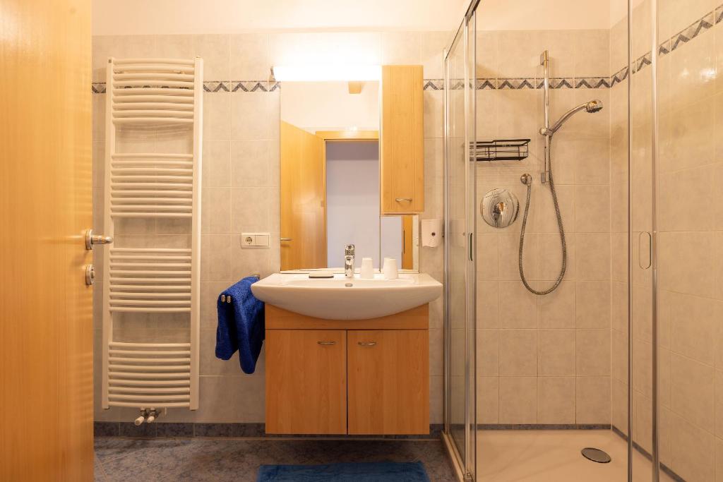 A bathroom at Apt Talblick Hinterproslhof
