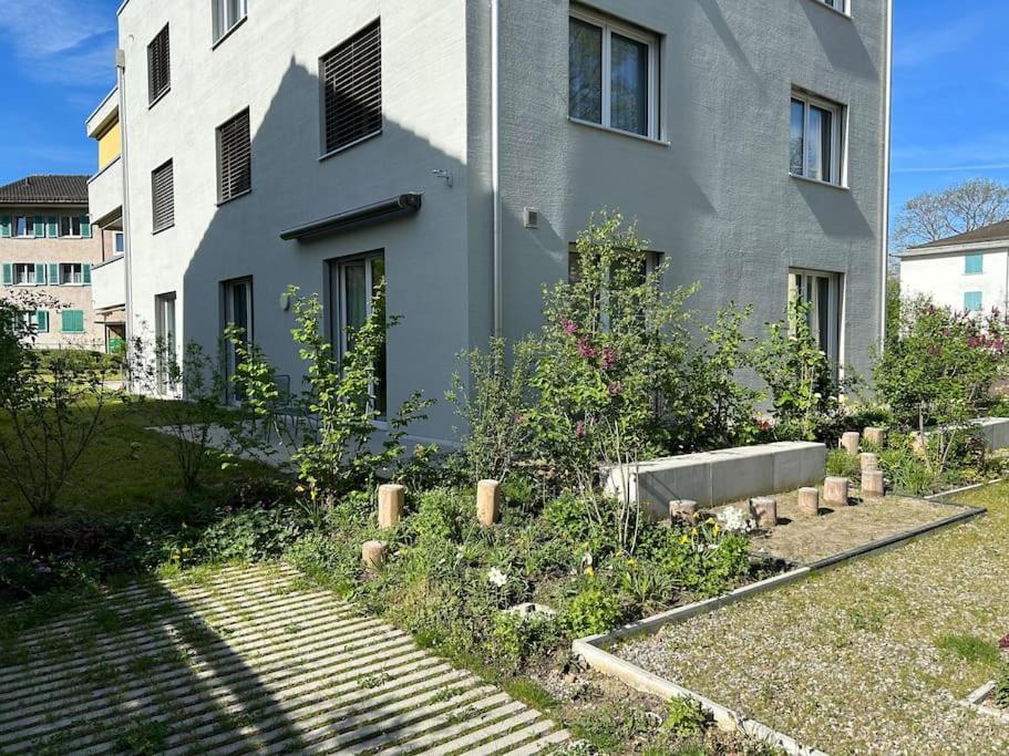 Cozy Modern Charm in Winterthur - Resim 6