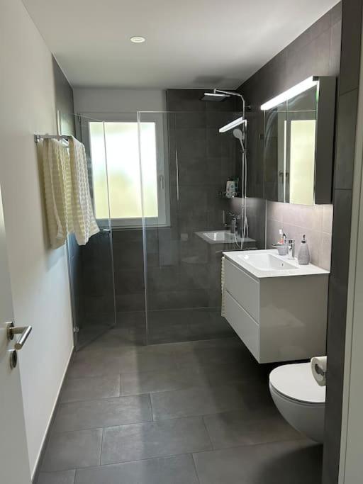 Cozy Modern Charm in Winterthur - Resim 3