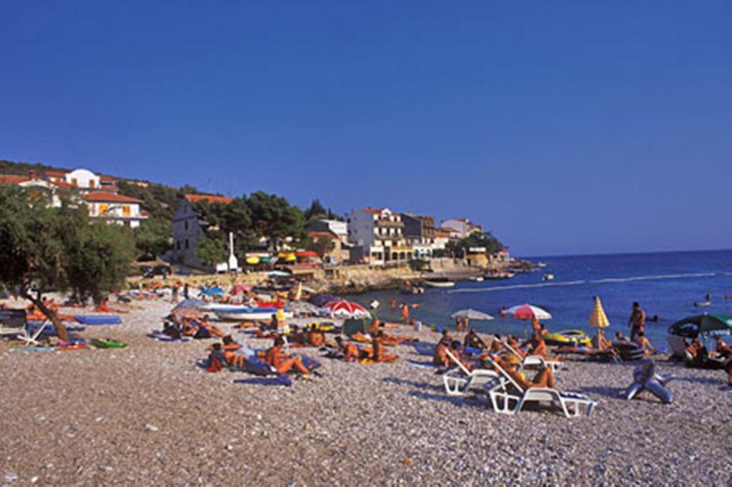 Príroda v okolí apartmánu