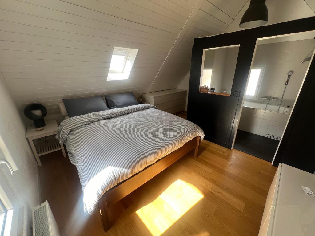 Fotografie z fotogalerie ubytování Chambre dans Villa de charme 1903 v destinaci Chêne-Bourg