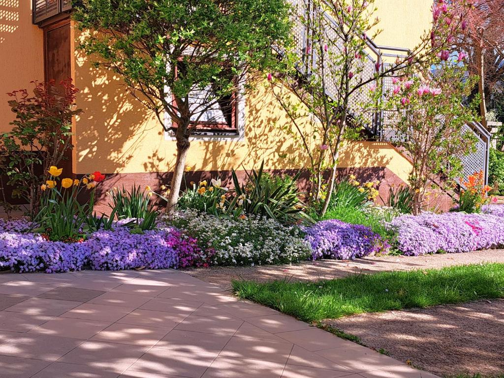 Zahrada ubytování St George B&B