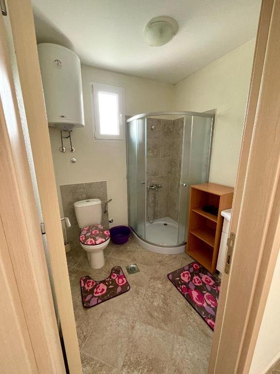 uma casa de banho com um chuveiro e um WC. em Riverside em Virpazar