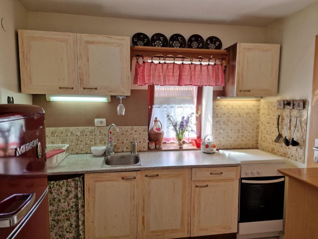 Kuchyň nebo kuchyňský kout v ubytování Zajček Apartma