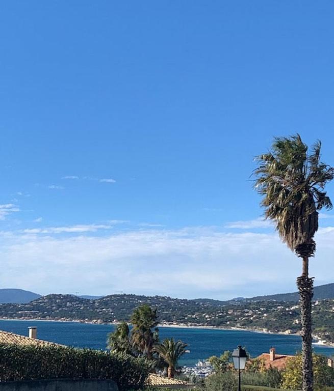 un palmier avec l'océan en arrière-plan dans l'établissement Vert Luisant, aux Issambres