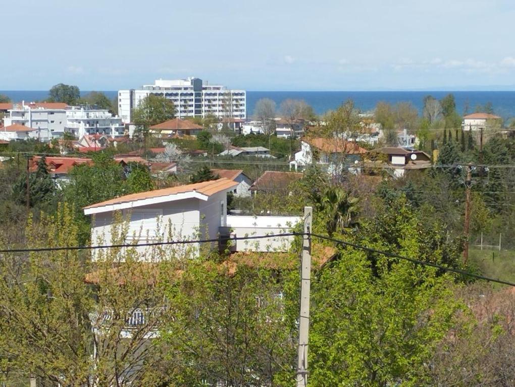 Příroda nedaleko prázdninového domu
