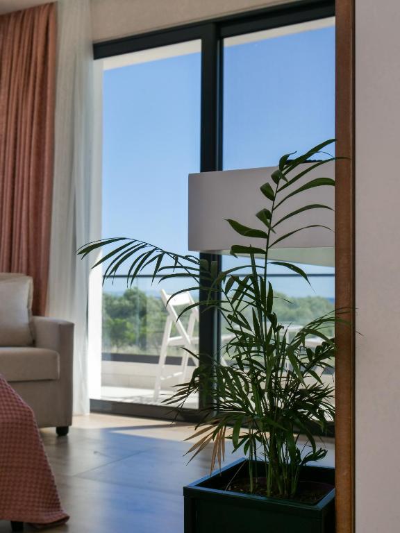 a potted plant in a living room with a window at Villa Tonia in Himare
