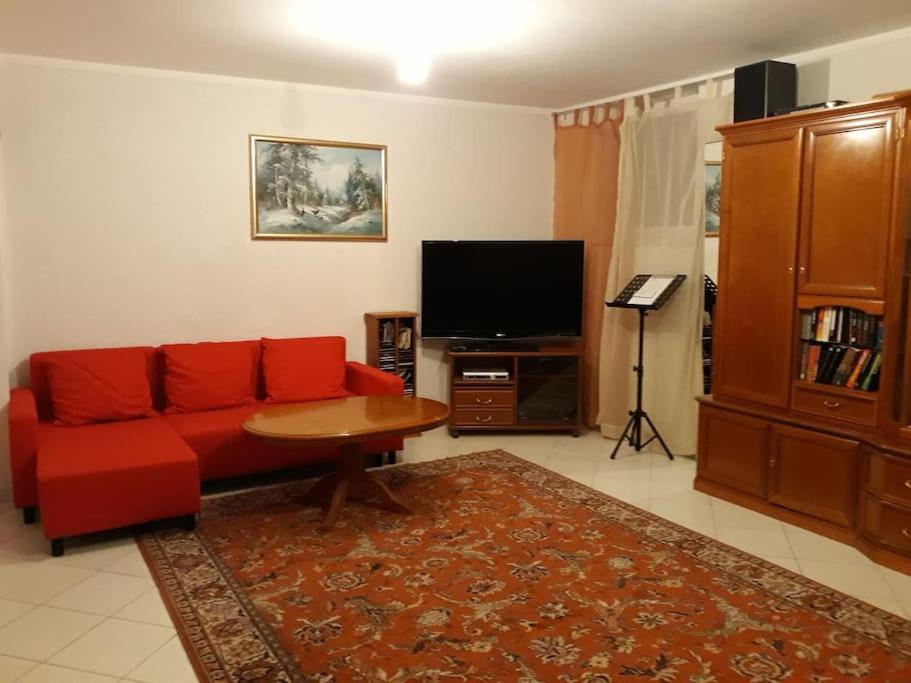 TV a/nebo společenská místnost v ubytování 2 Zi Souterrain Wohnung in Wiesbaden Schierstein