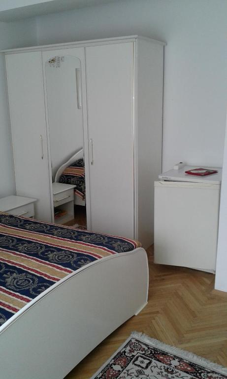 Pensiunea Helvetia - Single Room