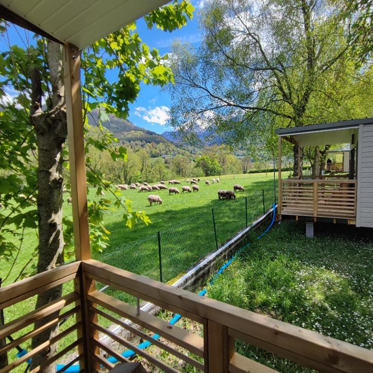 Fotografie z fotogalerie ubytování Camping Ayguebère v destinaci Laruns