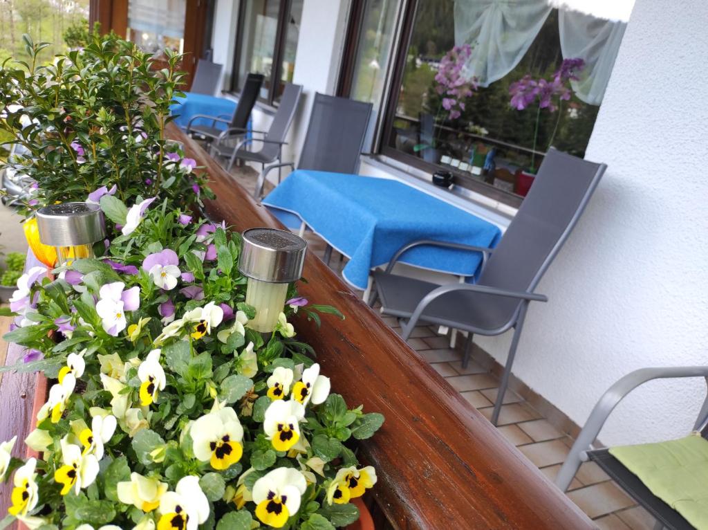 Zahrada ubytování Pension Brix