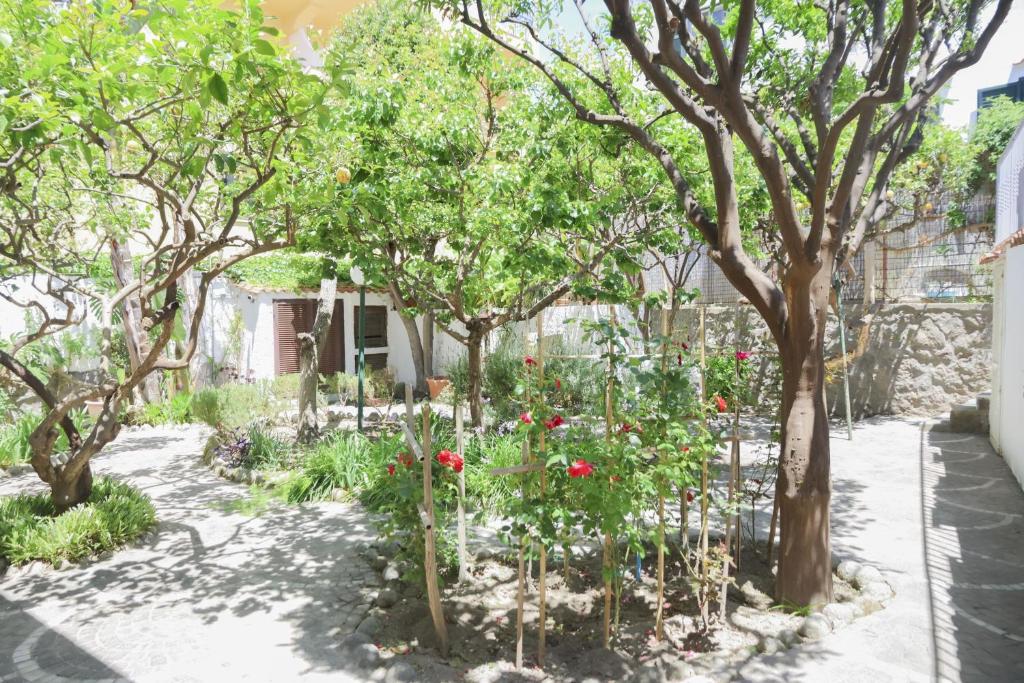 Zahrada ubytování Hotel Cesotta