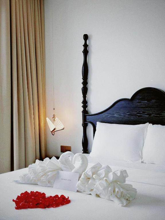 The Eden Cat Ba - 12