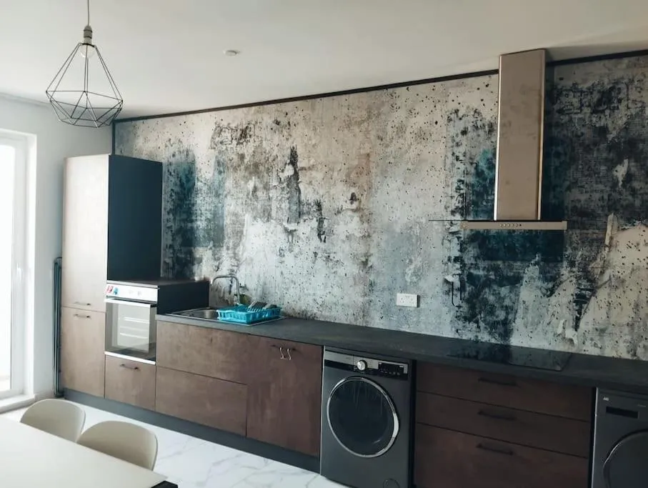 Go Exchange, Block D, Apt 8