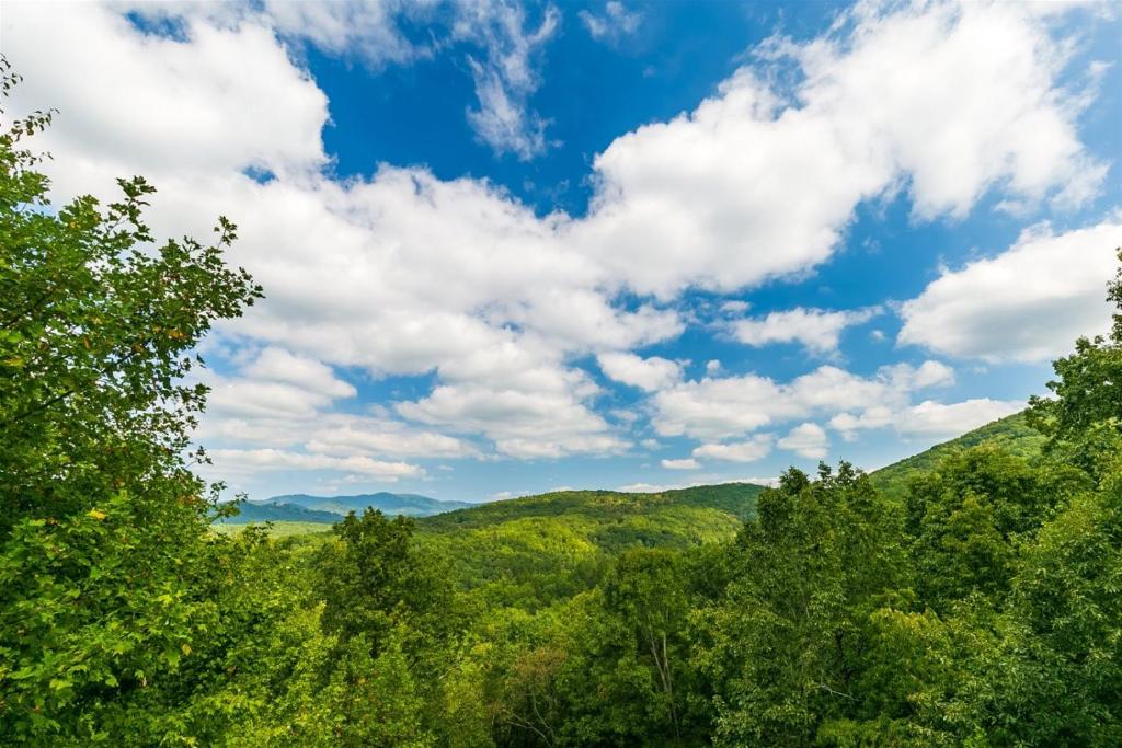 a view from the top of a hill with trees at Hawks Hideaway in Mineral Bluff