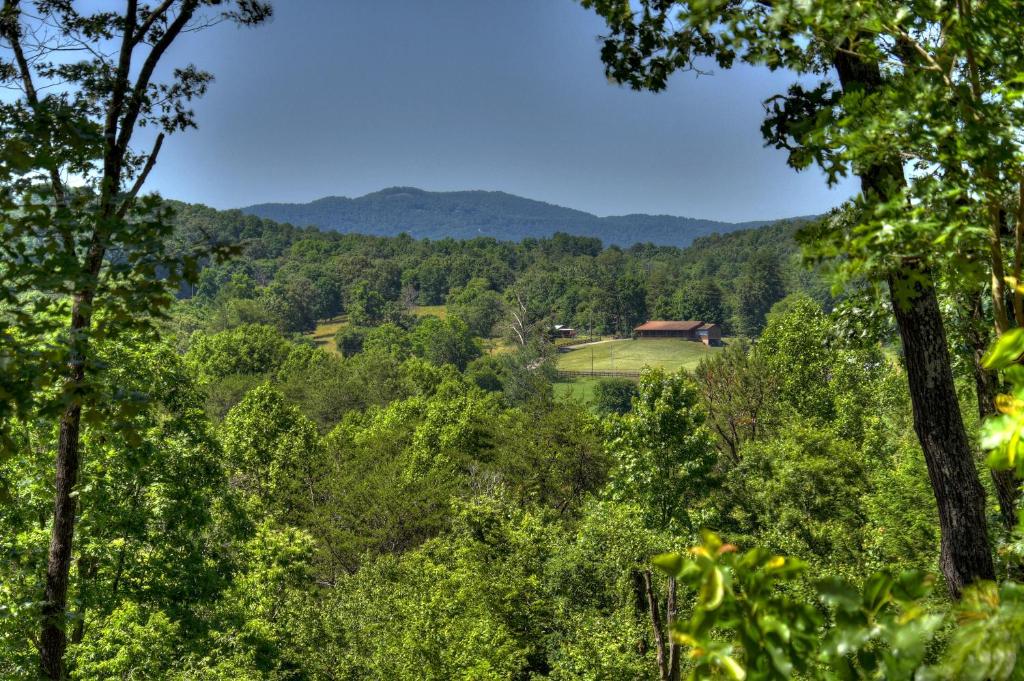 Blick auf die Berge durch die Bäume in der Unterkunft Whippoorwill Calling - Panoramic Mineral Bluff Cabin - Panoramic Views, Hot Tub, Nature Trail, Private Cul-De-Sac Home, Firepit, in Mineral Bluff