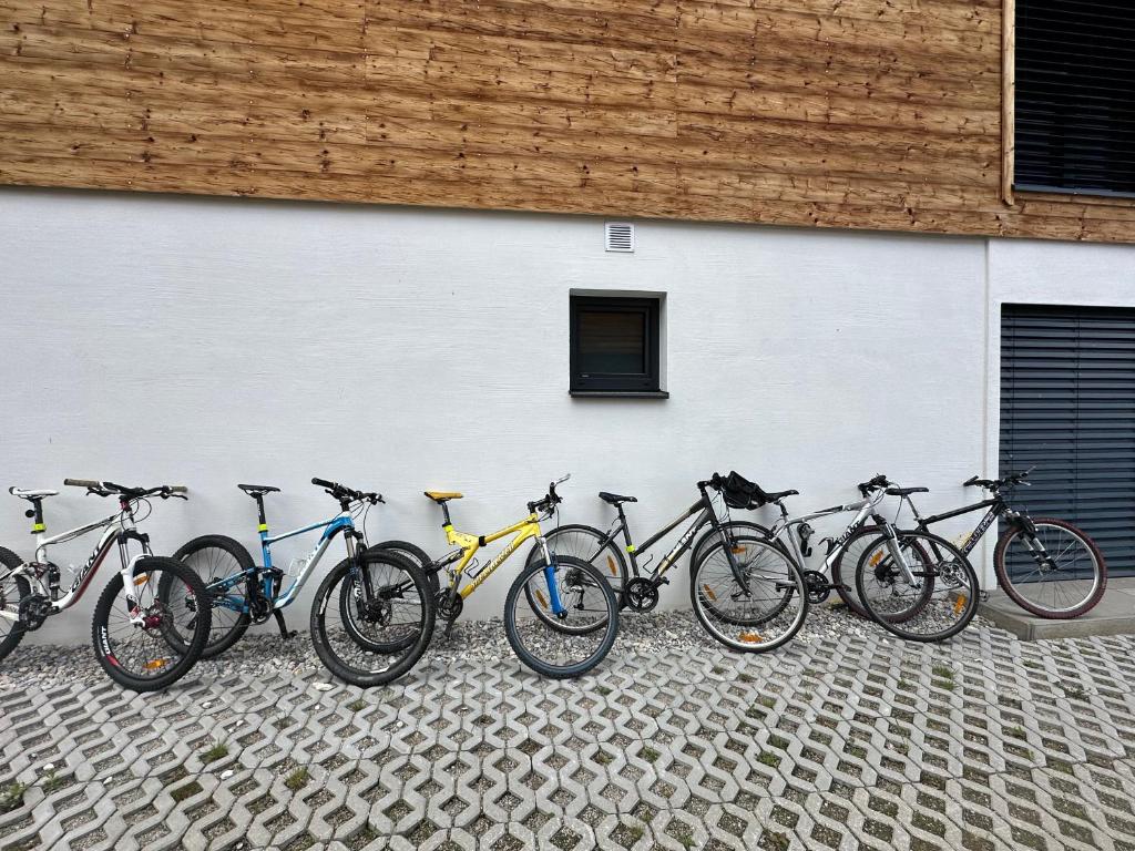 Jazda na bicykli v okolí ubytovania Appartements by Chalet Reiteralm -Sommercard