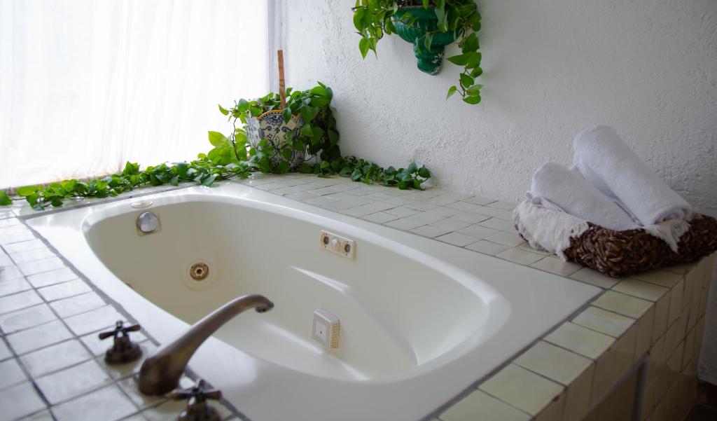 Misión Guanajuato - Suite Presidencial