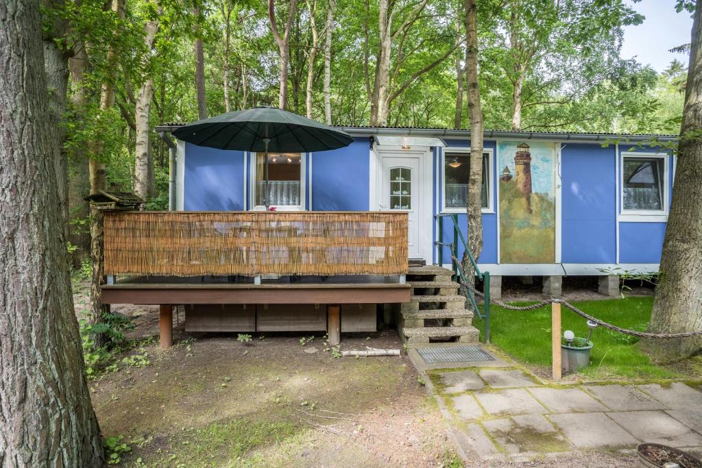 ドランスケにあるBungalow Arkona Bgl 1の森の中にある傘付きの青い小さな家