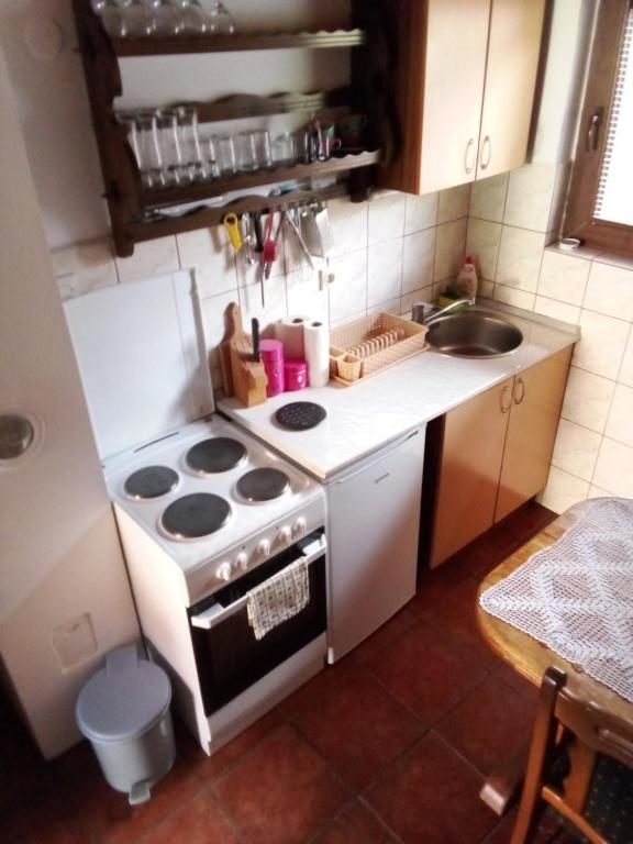 Kuhinja ili čajna kuhinja u objektu Planinska Kuća Dušan